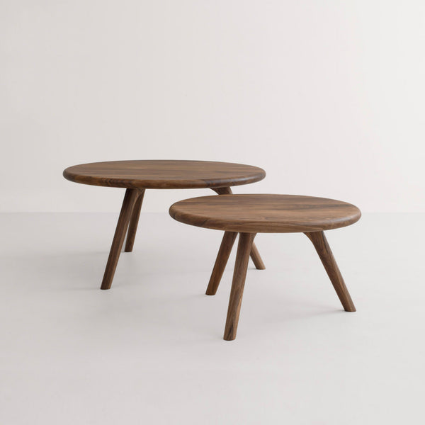 European Walnut