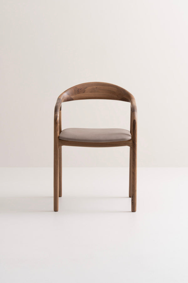 American Walnut